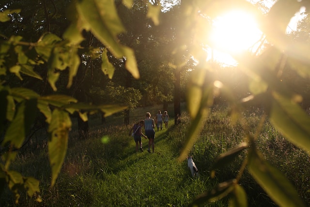 Stage famille nature et connexion wild mind et 8 Shields